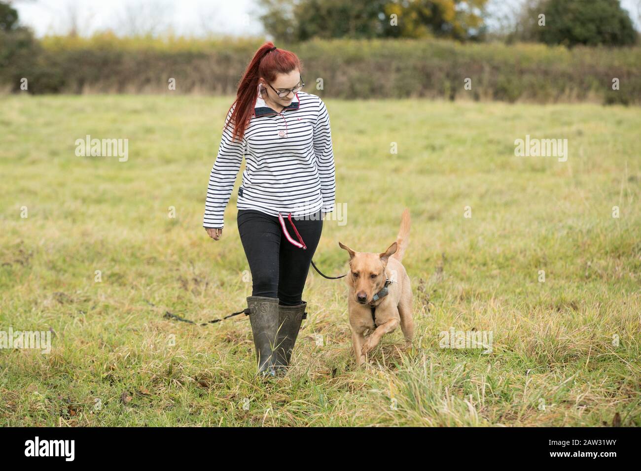 Woman walking her dog Stock Photo
