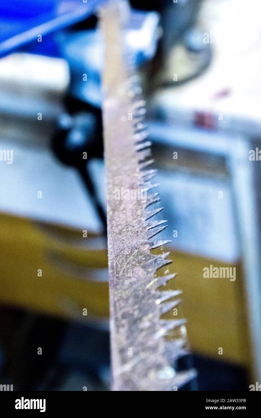A saw blade used for cutting wood of all thicknesses. The sharp teeth