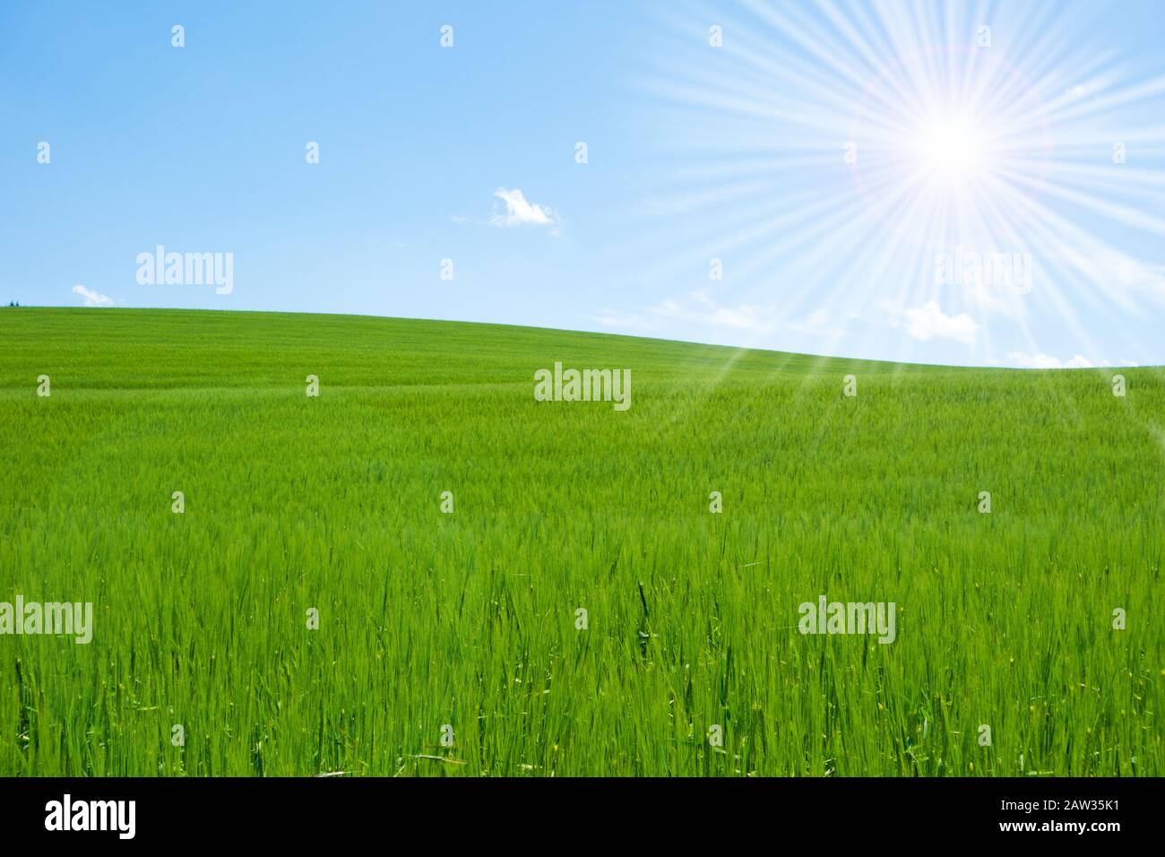 green field and blue sky with bright sun Stock Photo - Alamy