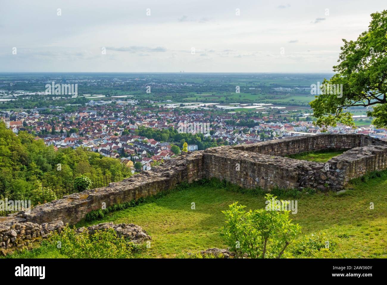 Burrweiler High Resolution Stock Photography And Images Alamy