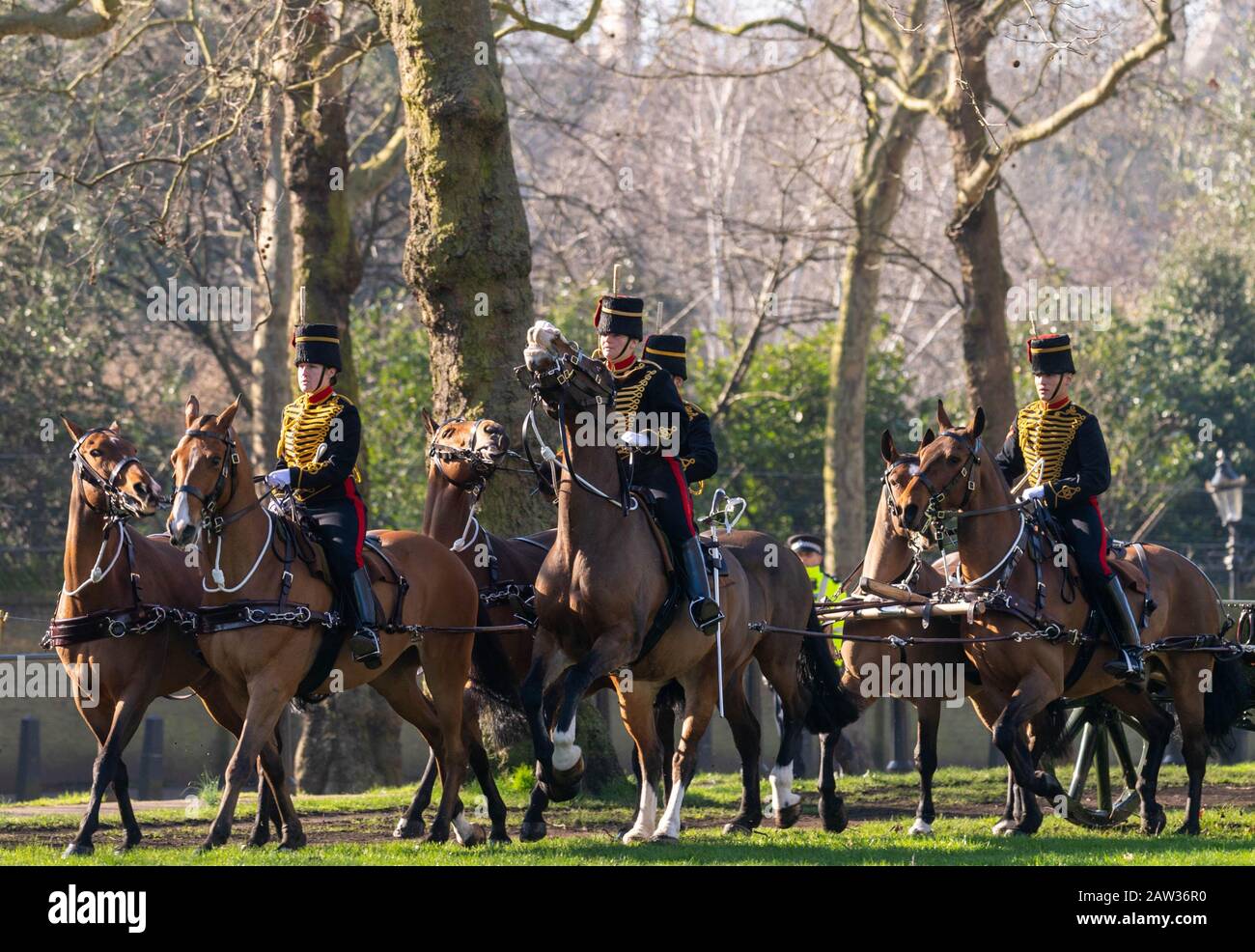 London, UK. 6th Feb, 2020. The King's Troop Royal Horse Artillery, wearing immaculately presented full dress uniform, provide a colourful sight when they ride their horses and gun carriages at The Green Park to stage a 41 Gun Royal Salute to mark the 68th Anniversary of the Accession of Her Majesty The Queen. Credit: Ian Davidson/Alamy Live News Stock Photo