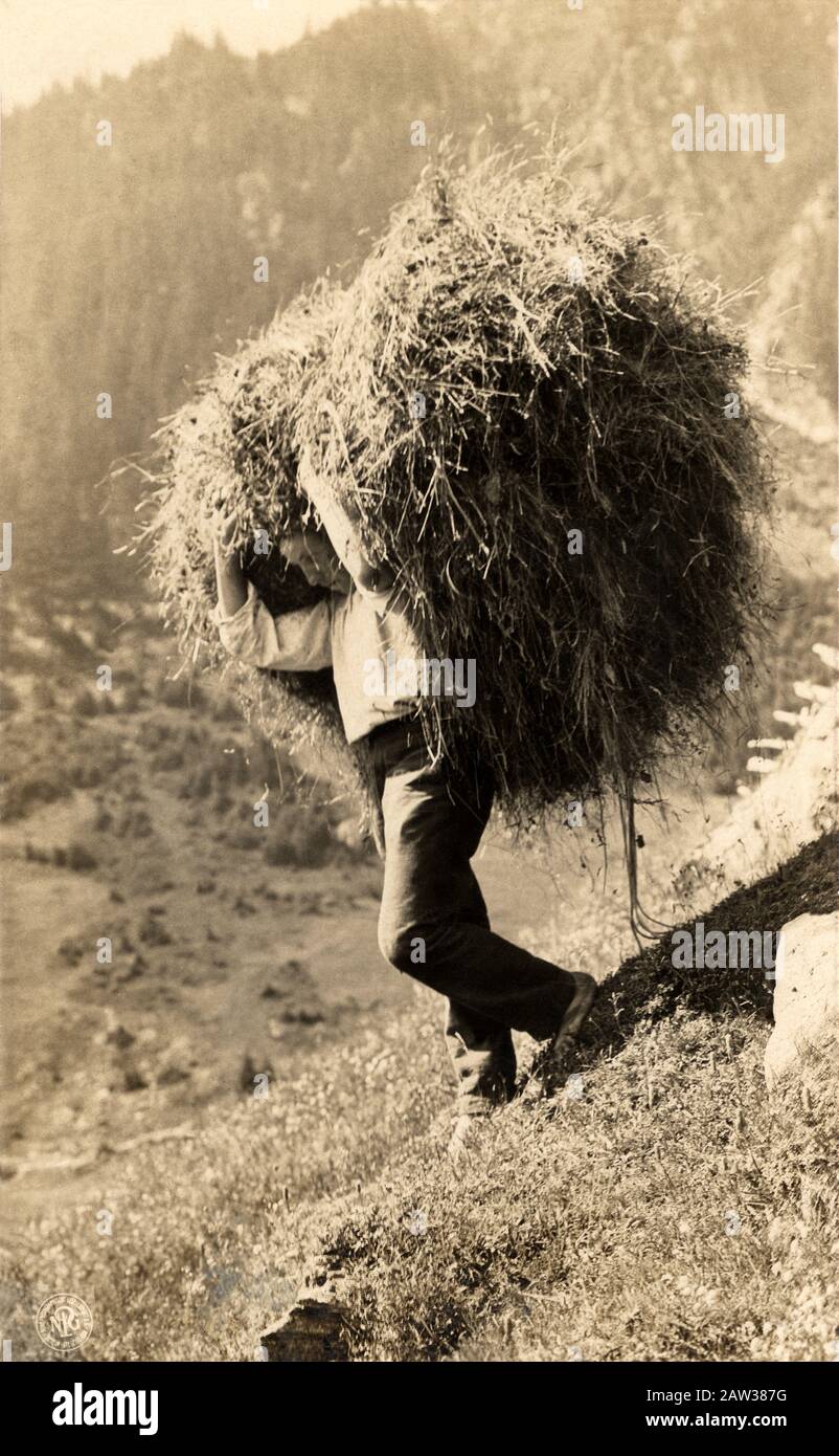 1910 ca, GERMANY : A boy carries a basket of hay , a folkloristic and bucolic mountain scene . Photo postacard by german editions NPG ( Neue Photograp Stock Photo
