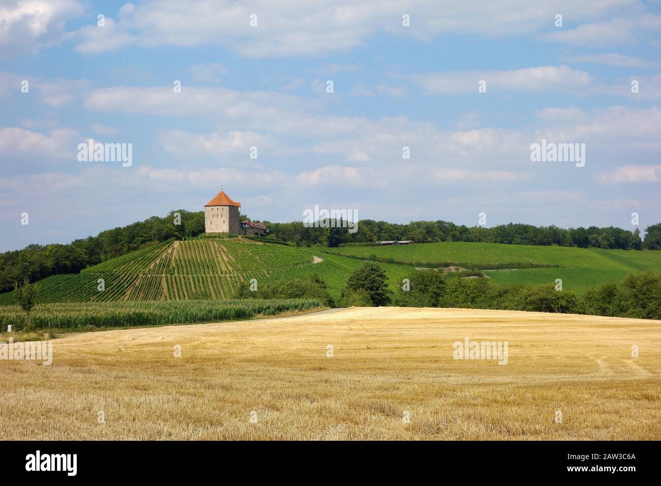 Castle Windeck - corn field in the foreground, forest and vineyard in the background Stock Photo