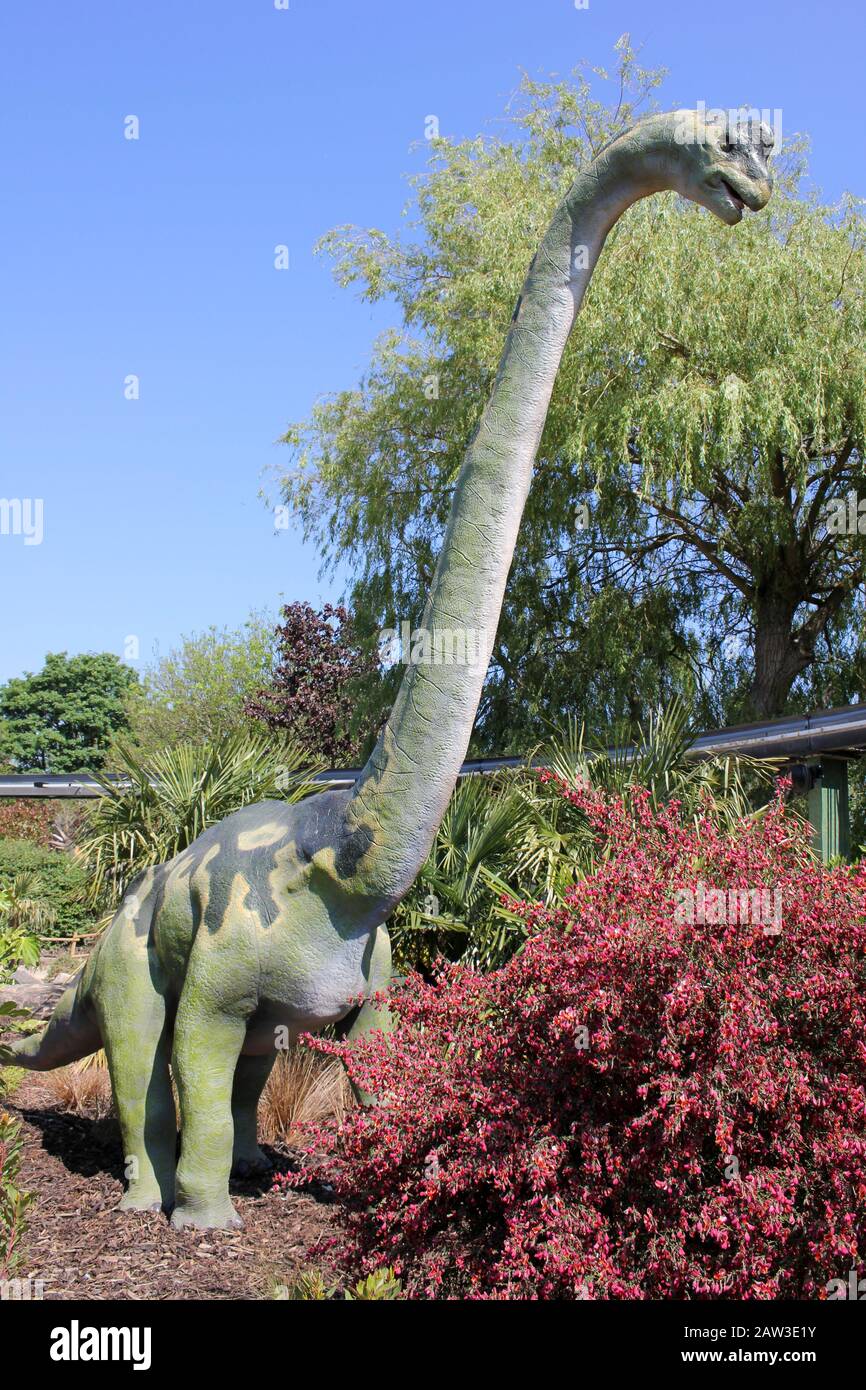 Brachiosaurus Stock Photo