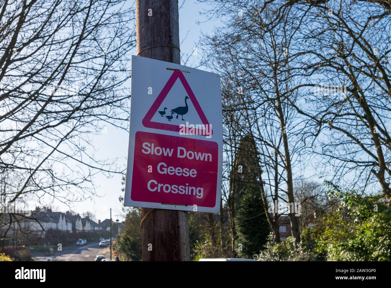 The Moor Pool Estate is a garden suburb in Harborne, Birmingham and is a conservation area.Sign saying 'slow down - geese crossing' Stock Photo