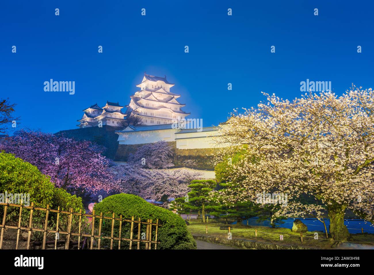 Himeji, Japan at Himeji Castle in spring with cherry blossoms at night. Stock Photo