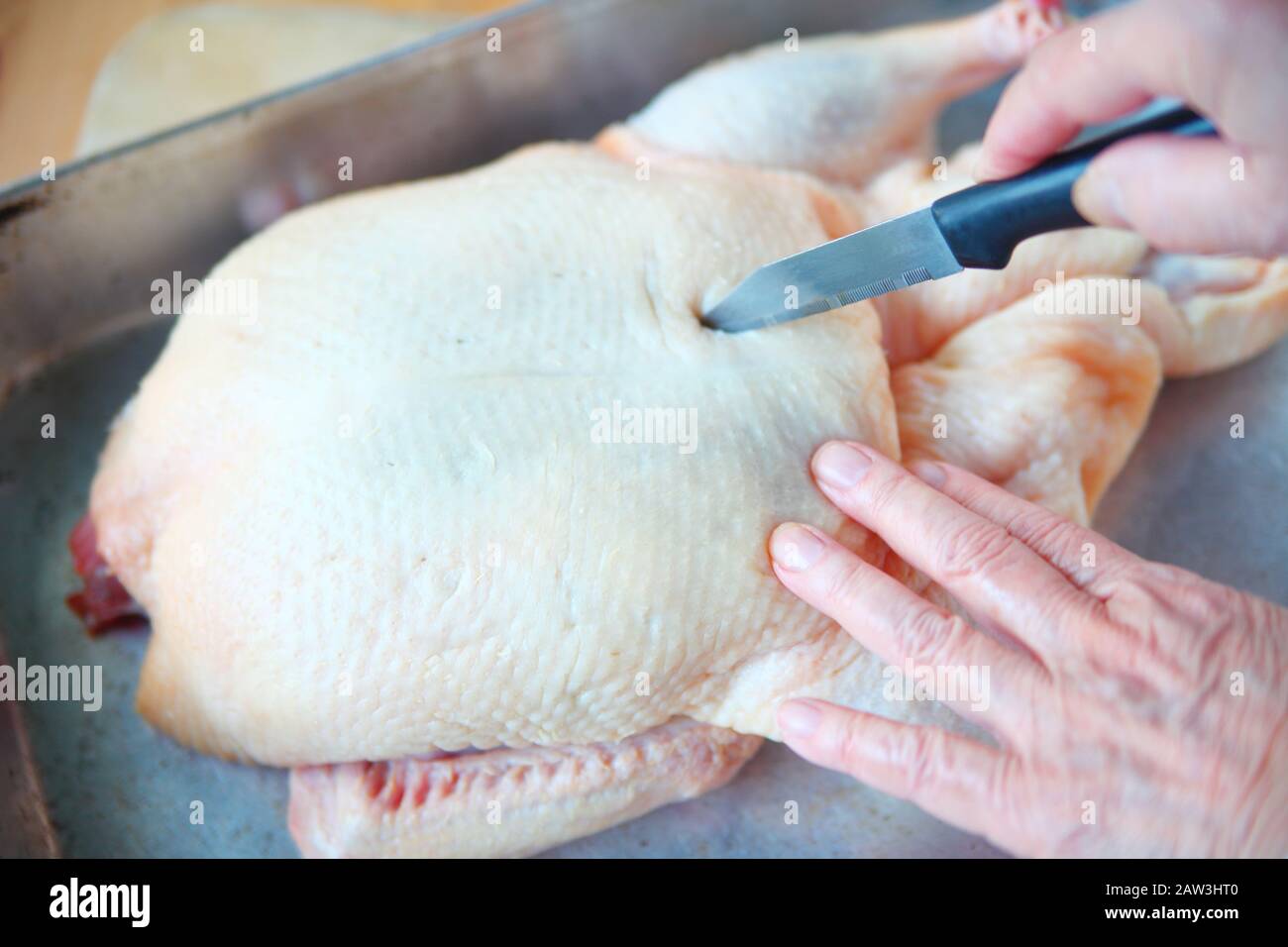 A woman pierces a duck’s skin to allow excess fat to drain during roasting Stock Photo