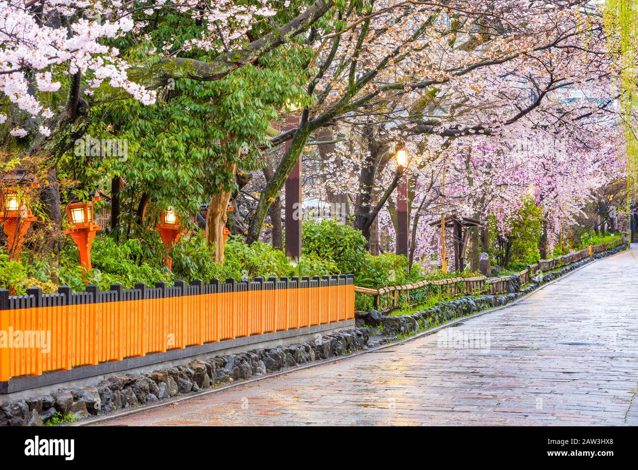 Gion Shirakawa, Kyoto, Japan old town streets in spring. Stock Photo