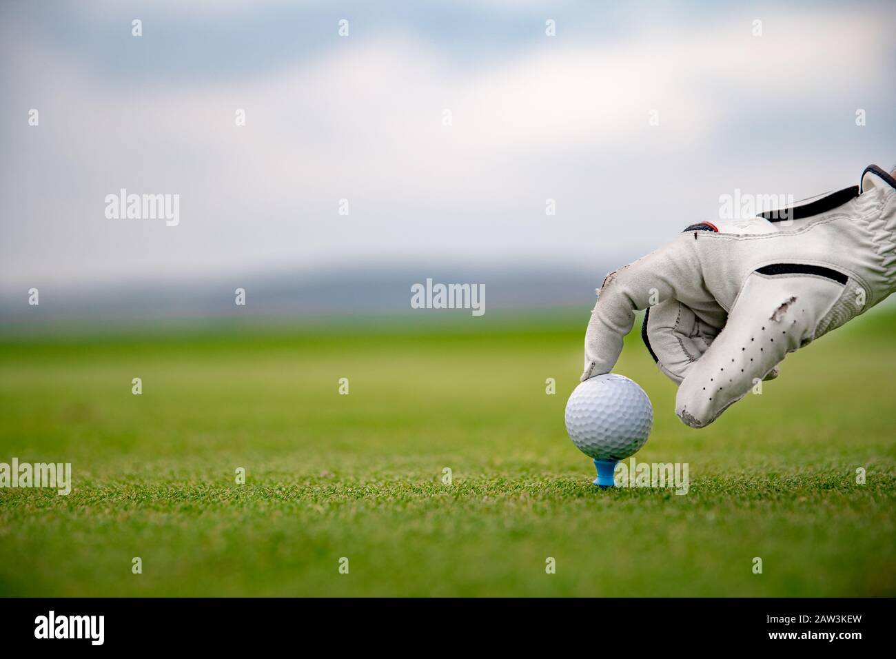A golf player prepares a golf ball on a green course Stock Photo