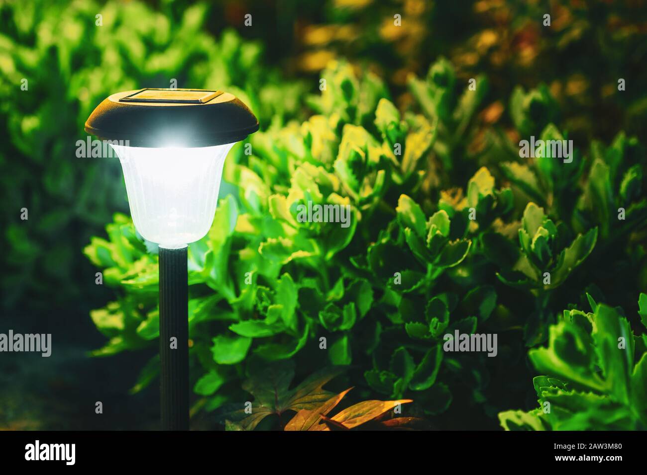 solar bed lamp