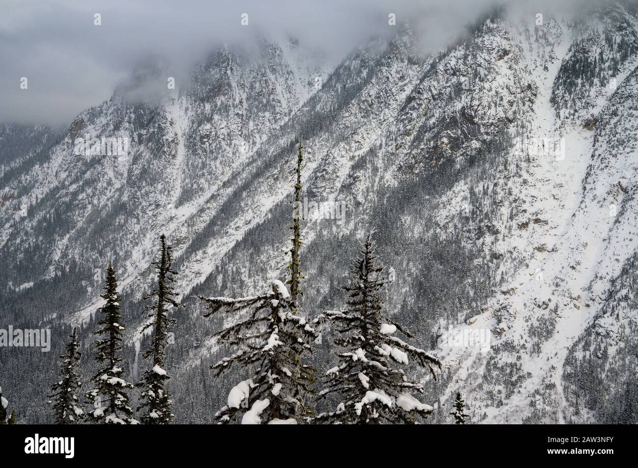 Snow Covered Mountains In The North Cascades Stock Photo Alamy