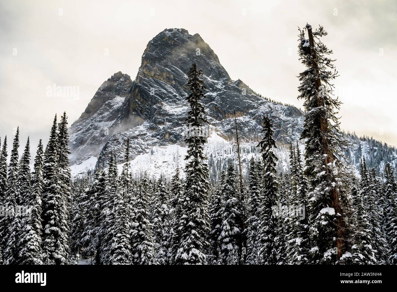 Beautiful Mountain Peak With Snow Covered Trees Stock Photo - Alamy