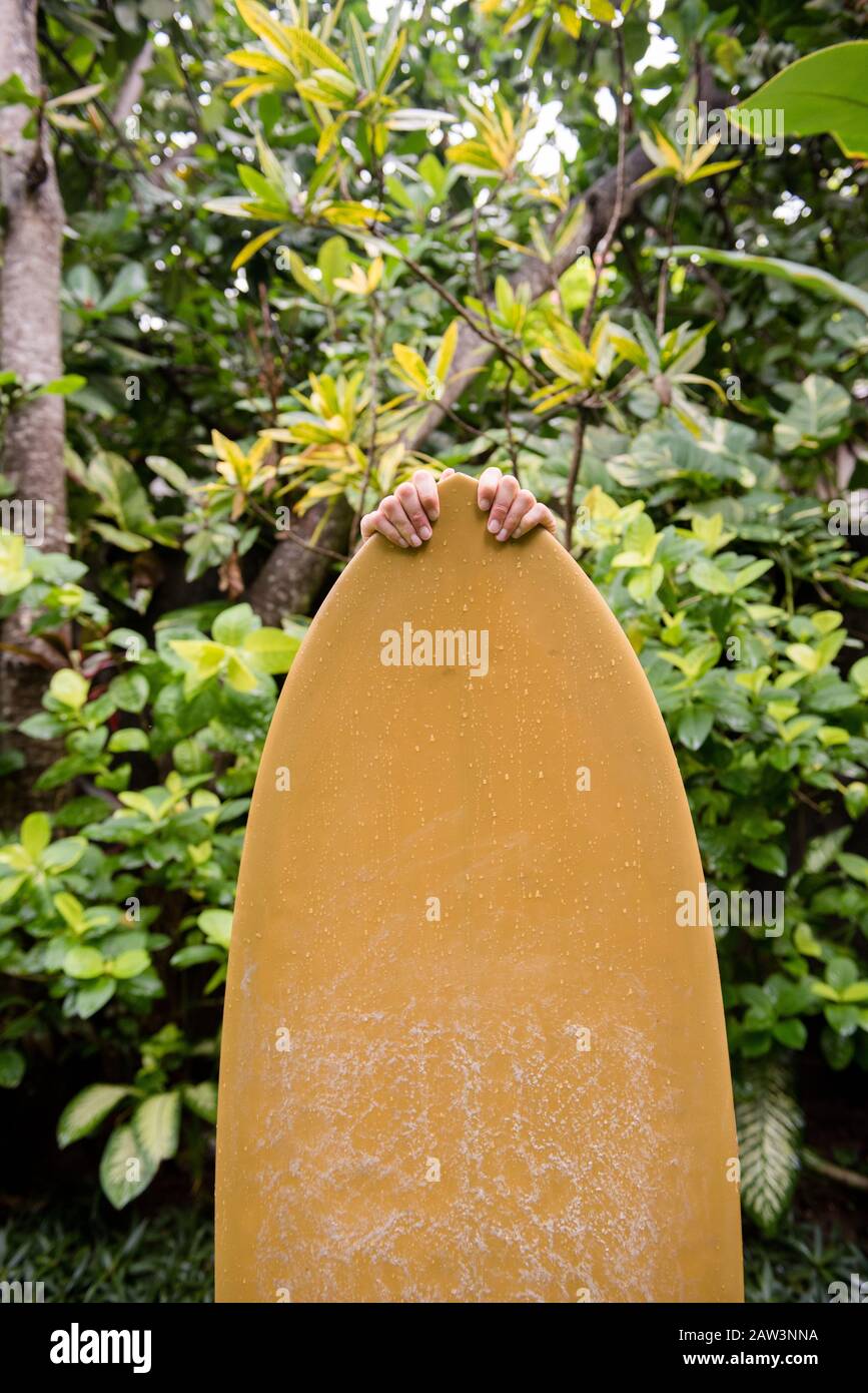 A surfer plays hide and seek in the jungle Stock Photo