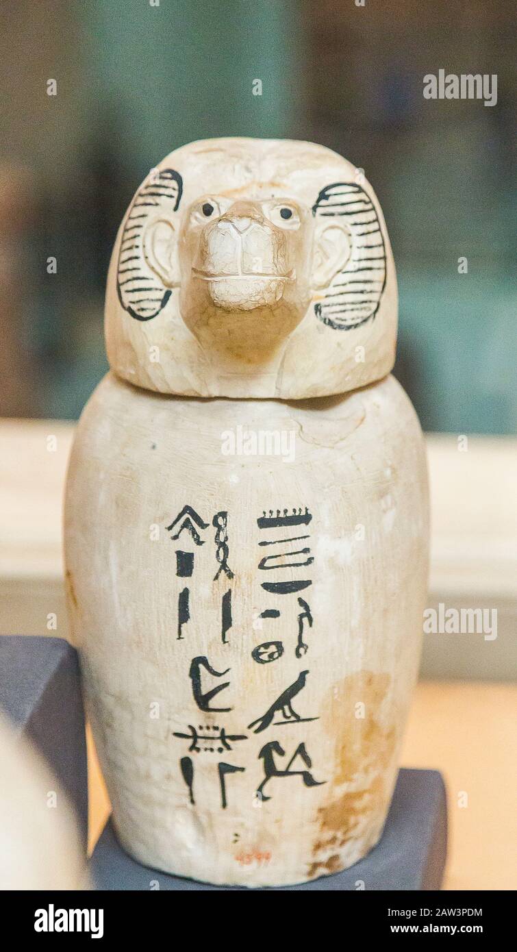 Cairo, Egyptian Museum, canopic jars of Shepses-Hor, Late period, limestone, covered with the heads of the four sons of Horus : Hapy as a monkey. Stock Photo