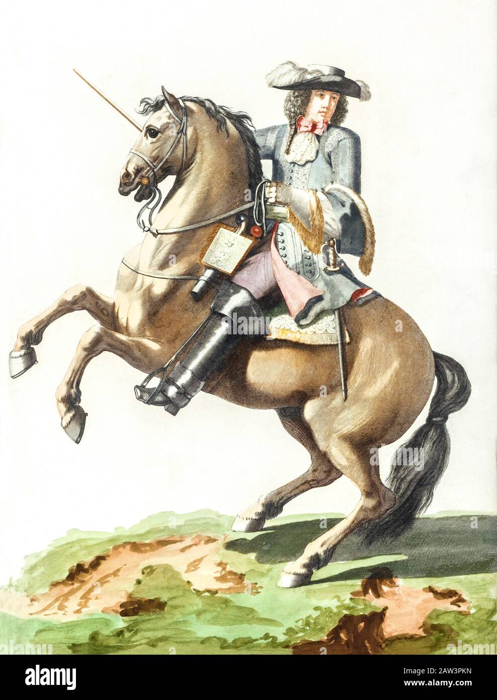 Vintage horse art illustration Stock Photo Alamy