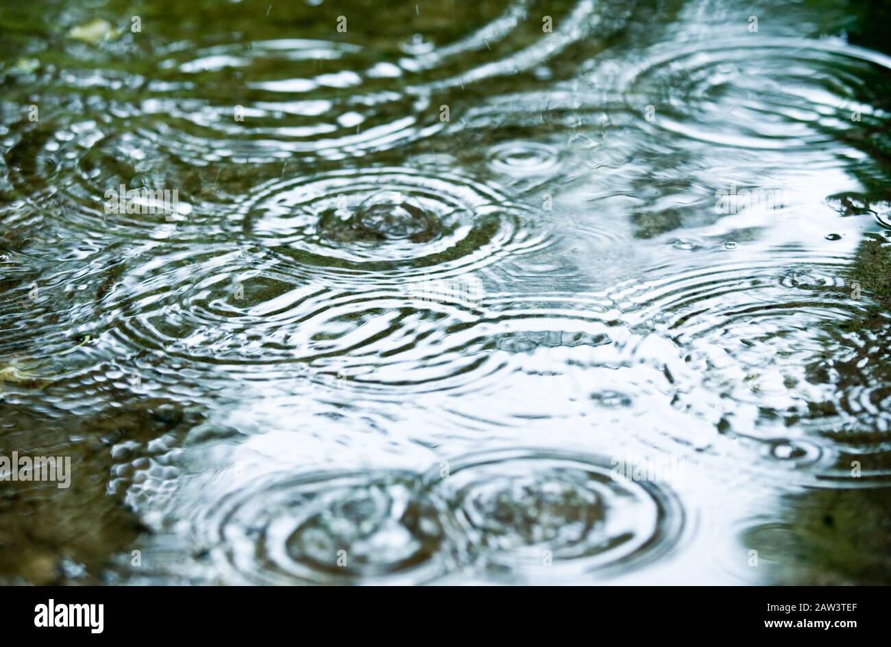 Rain drops rippling in a puddle Stock Photo