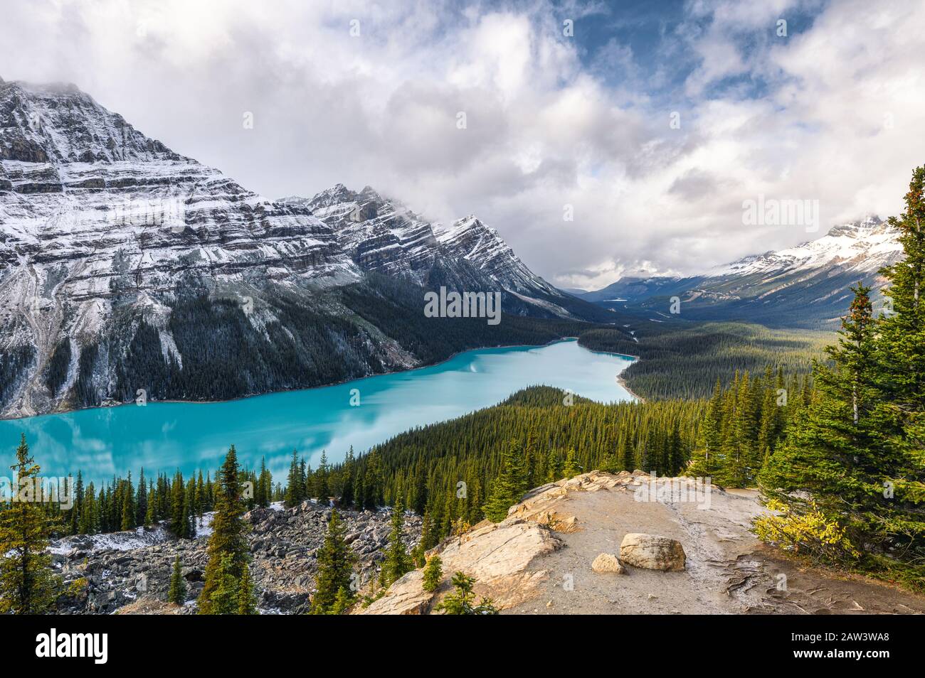 Scenery of Peyto lake resemble of fox in Banff national park at Canada ...
