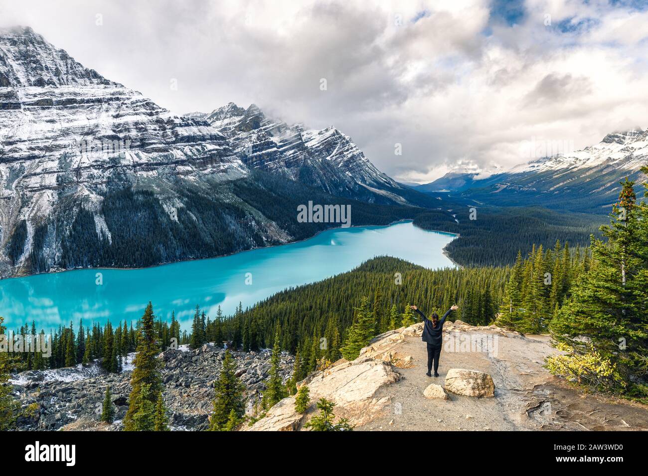Scenery of Peyto lake resemble of fox with woman traveler raised arm in ...