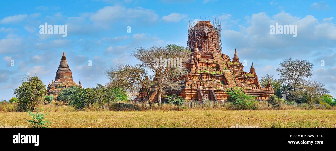 Panorama of savanna plain with dry trees and grasses, with a view on ruins of ancient Bulethi Pagoda, Bagan, Myanmar Stock Photo