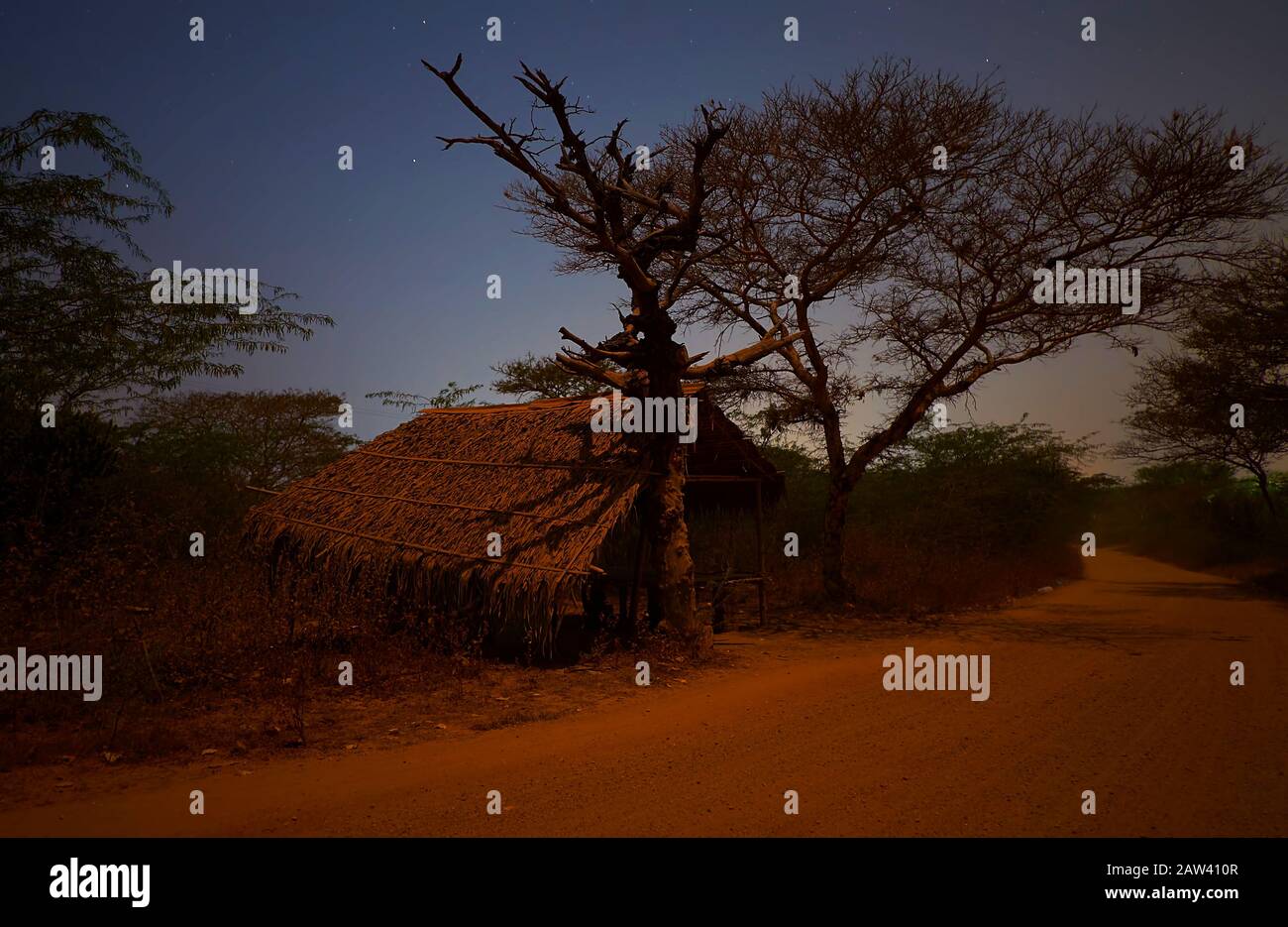 The dark stellar sky over the earthen road and old hut, tilted to the dried tree, Bagan, Myanmar Stock Photo