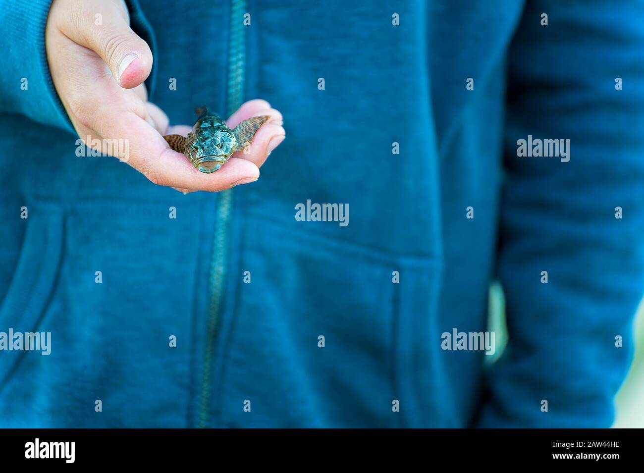 A young boy holds a tiny odd looking fish he caught, for a picture before releasing it back into Devils Lake in Lincoln City on the Oregon Coast Stock Photo