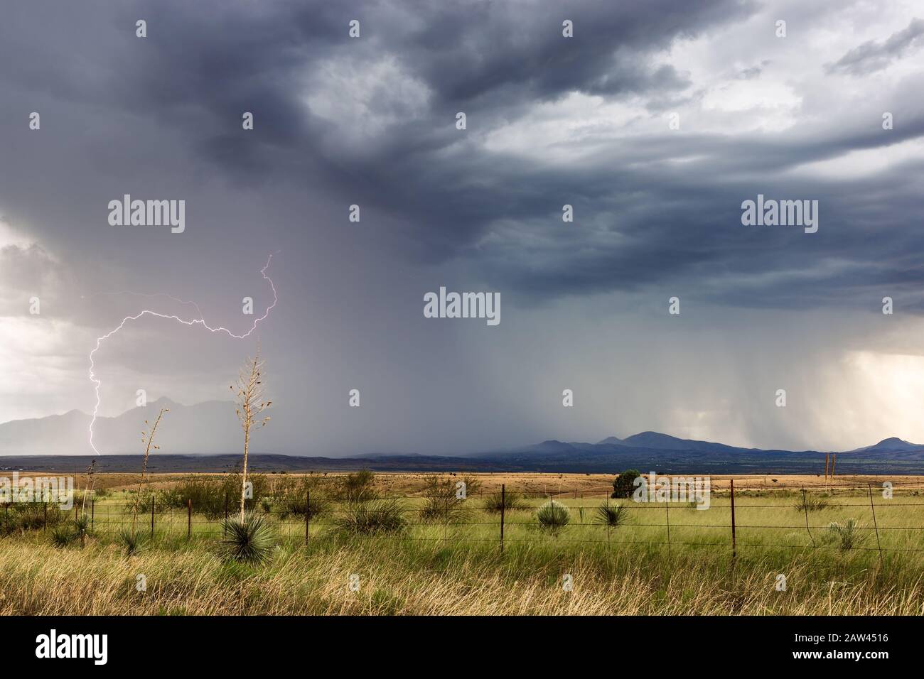 Scenic landscape and lightning strike from a monsoon storm near Sonoita, Arizona Stock Photo