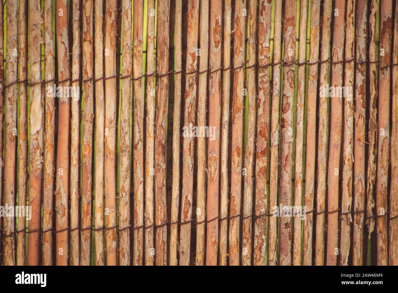 handmade bamboo fence used in garden in Mallorca, Spain Stock Photo Alamy