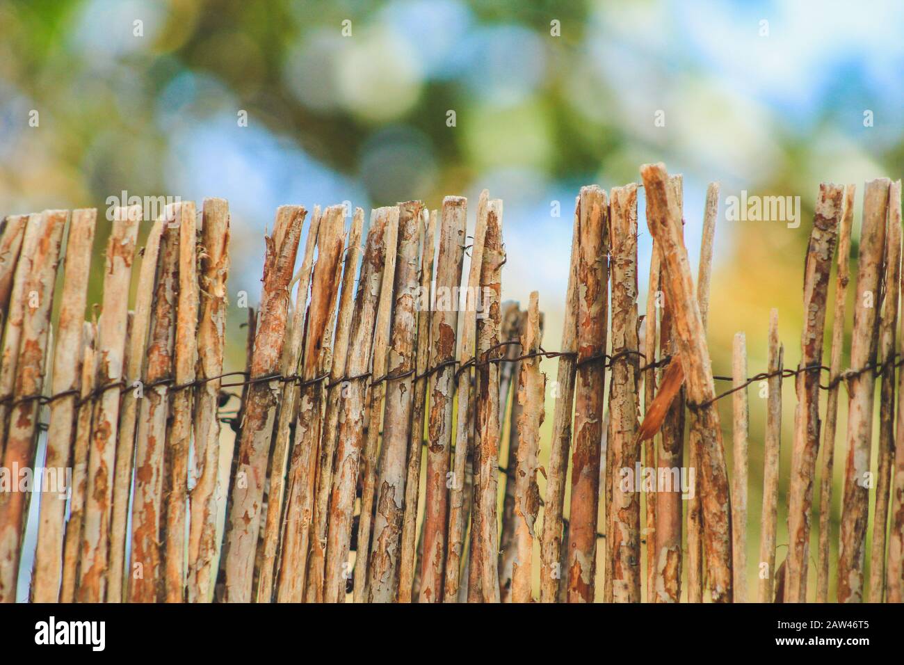handmade bamboo fence used in garden in Mallorca, Spain Stock Photo Alamy