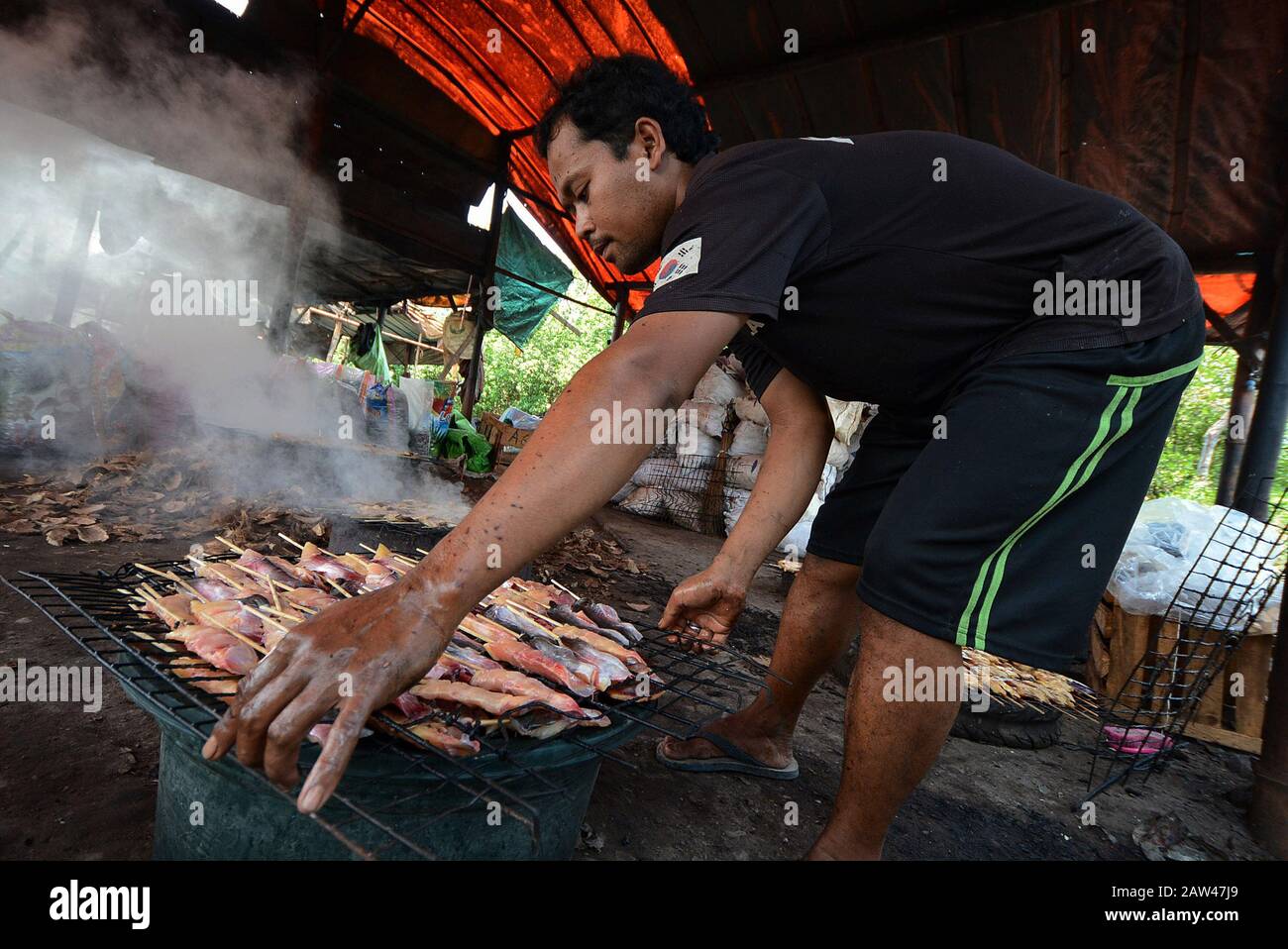 Patin High Resolution Stock Photography And Images Alamy