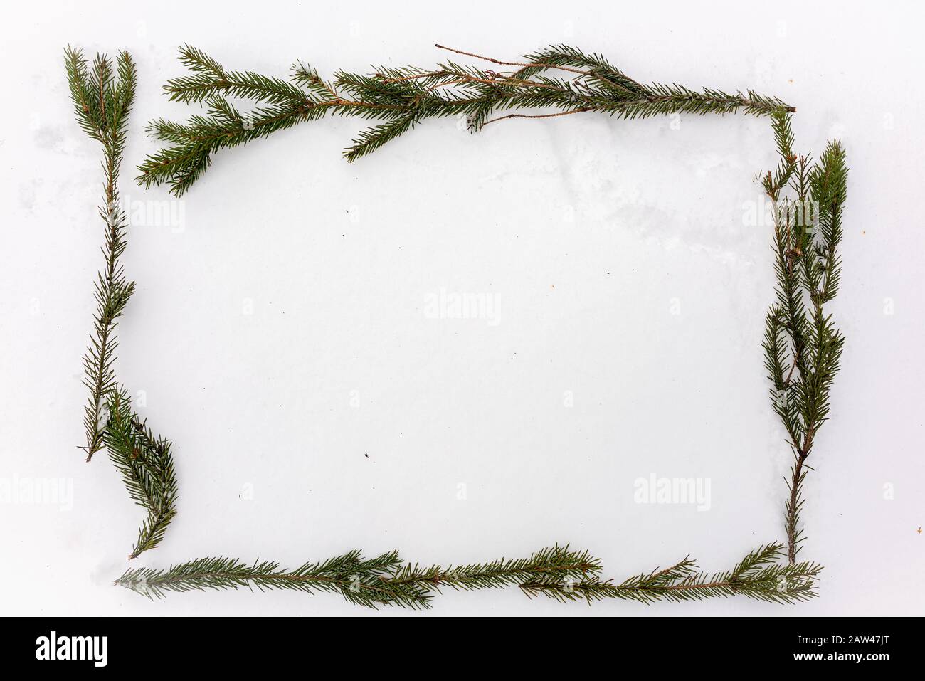 Frame of fir branches on white snow. Christmas framework with snow ...
