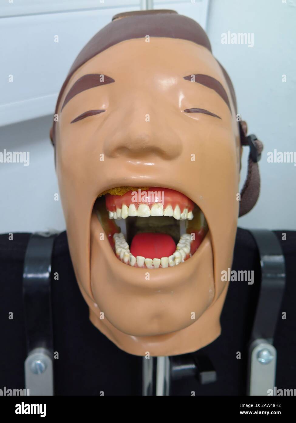 Dummy head with false mouth for dentist training Stock Photo Alamy