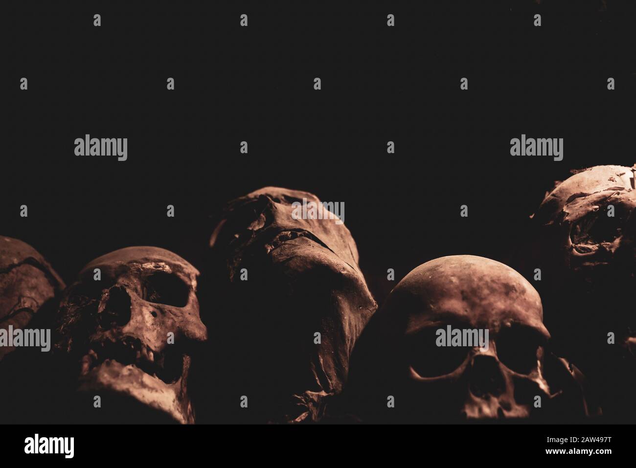 Skulls. Group of mummified skulls inside an ancient crypt Stock Photo