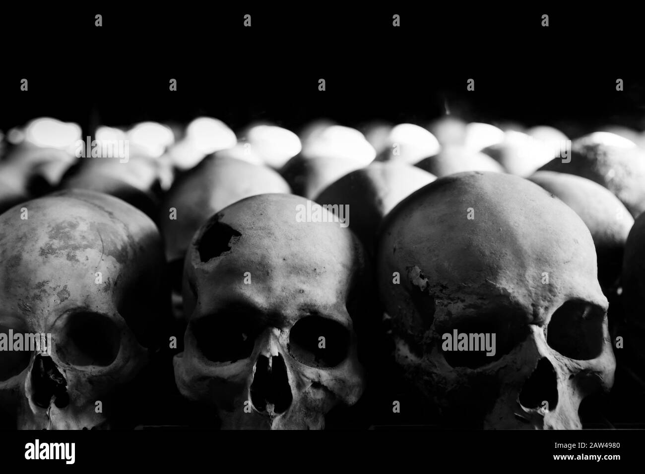 group of human skulls in the foreground on a black background Stock Photo