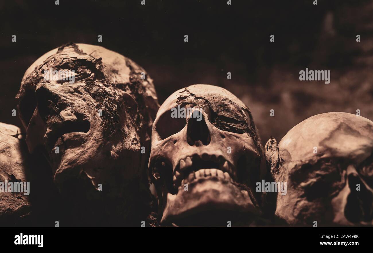 Skulls. Group of mummified skulls inside an ancient crypt Stock Photo