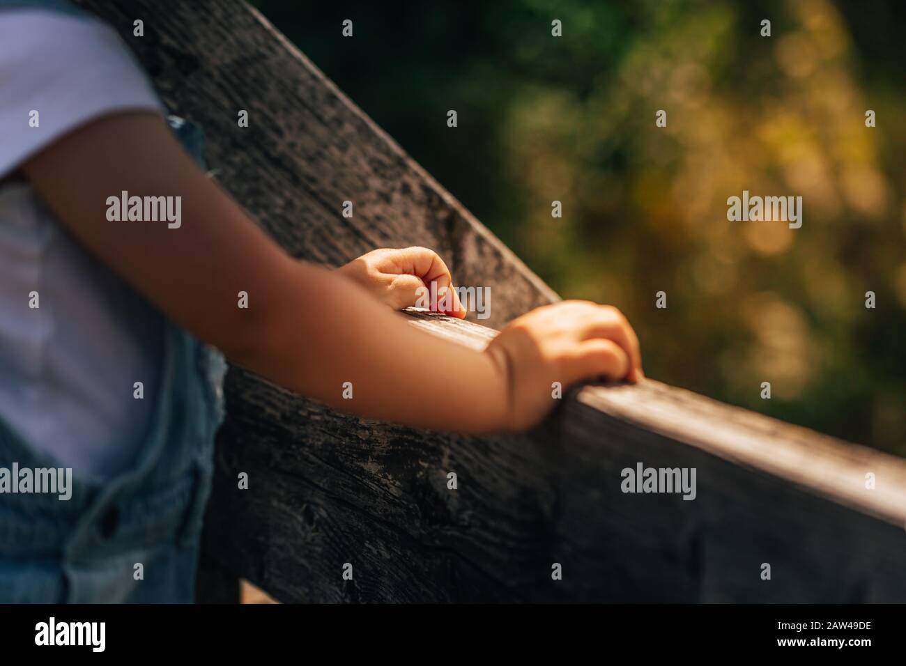 Hands of a little child standing on a wooden bridge on a sunny summer day. Stock Photo