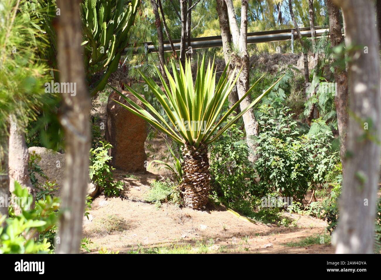 Fuerteventura Stock Photo