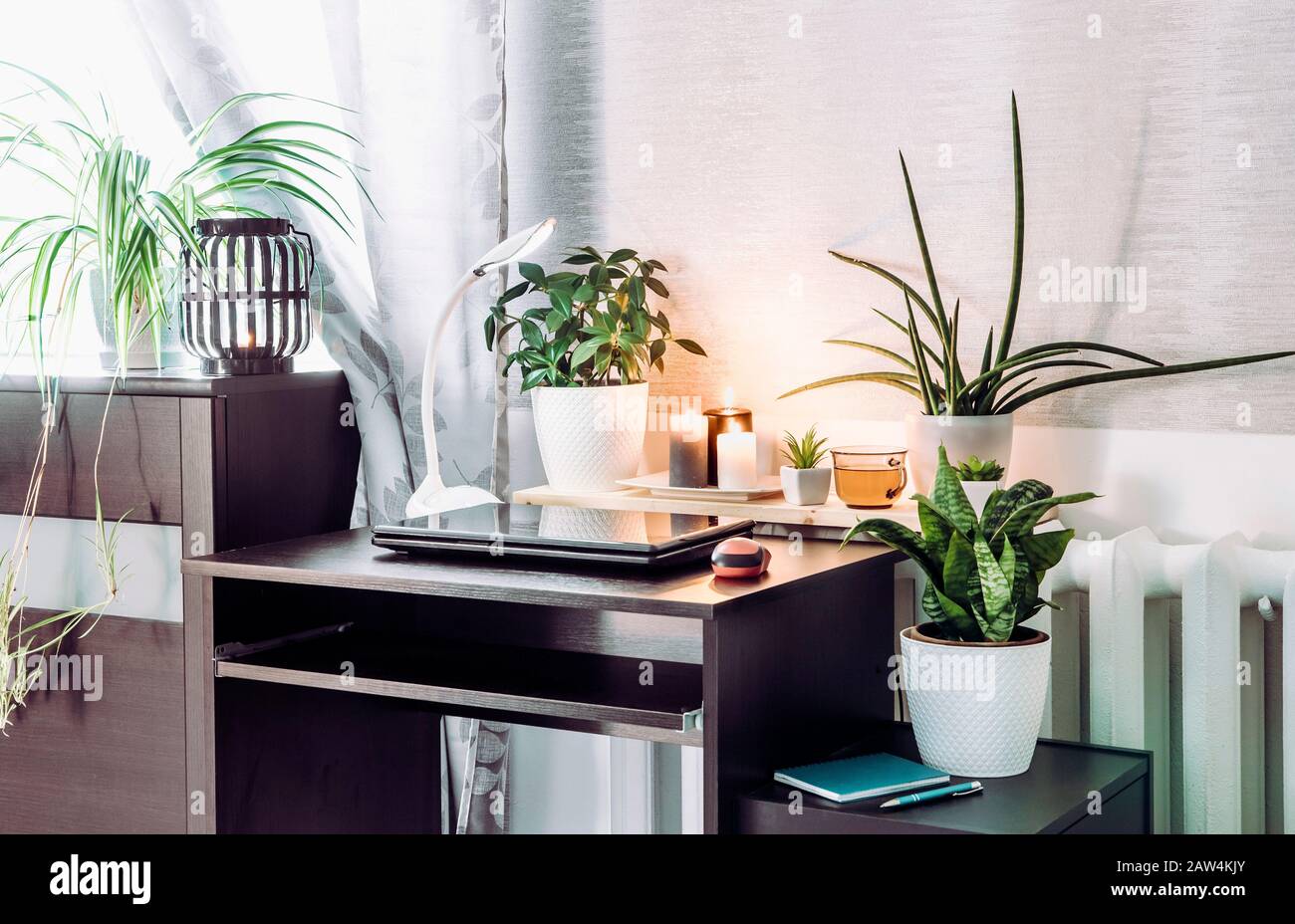 Gray gender neutral home office with lot of calming green live potted flower plants growing. Green healthy calm lifestyle concept. Stock Photo