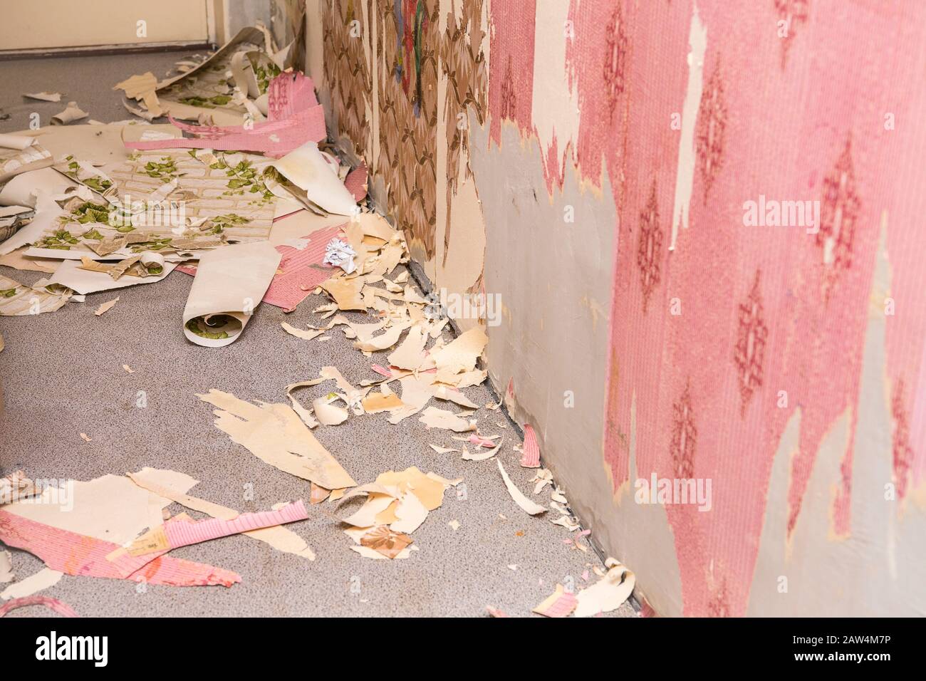 Removing old retro style wallpaper from concrete wall. Home renovation concept. Stock Photo