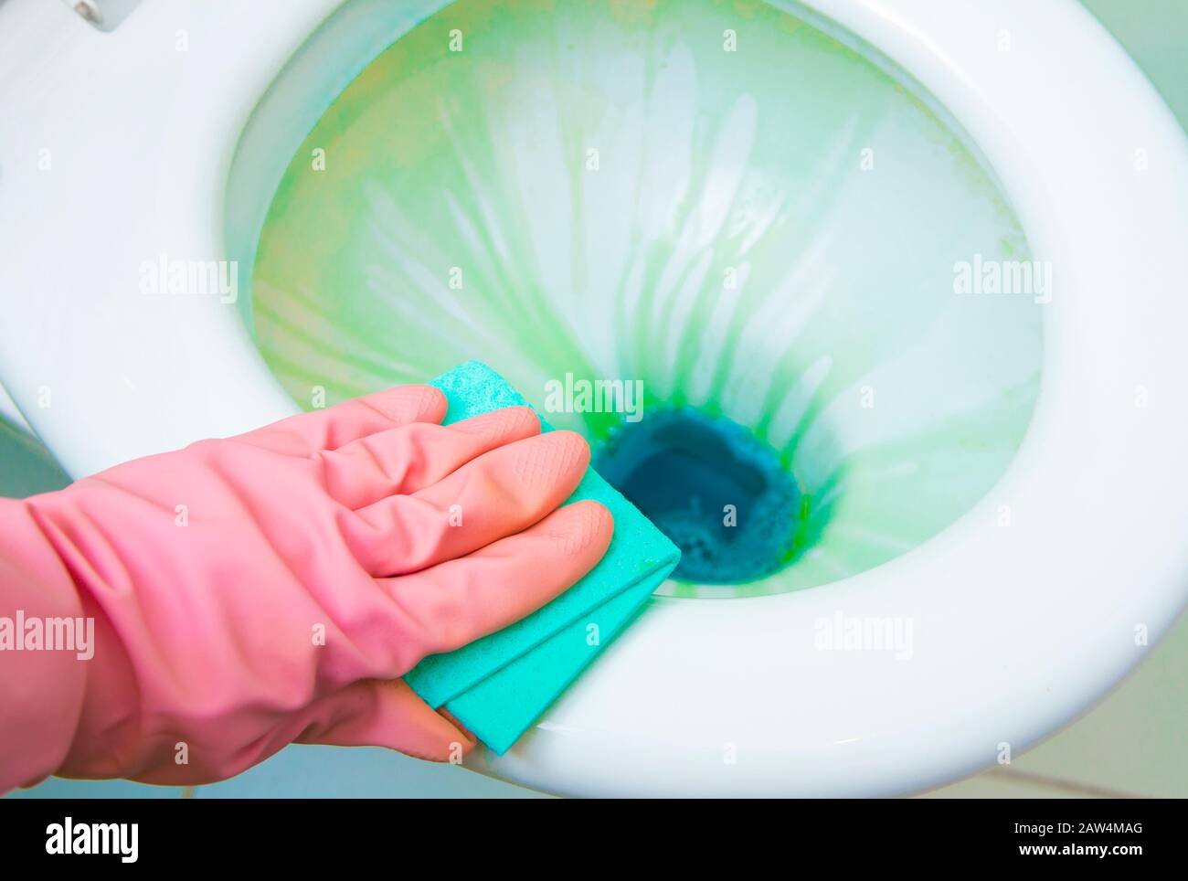 Disinfection of toilet, using colorful antibacterial liquids and cleaning tools. Close up view. Stock Photo