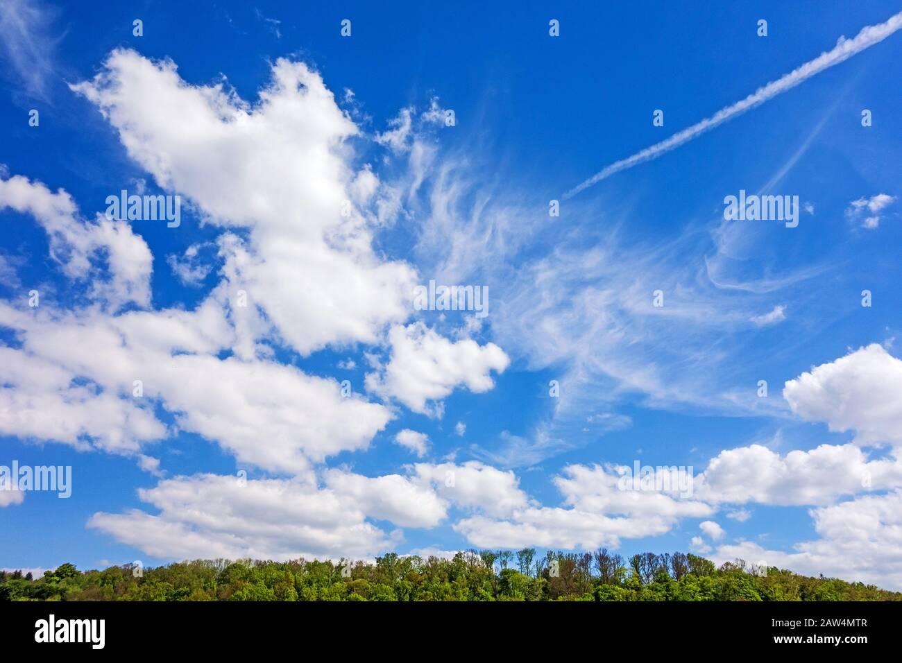 green trees with dark blue sky and white fluffy clouds Stock Photo