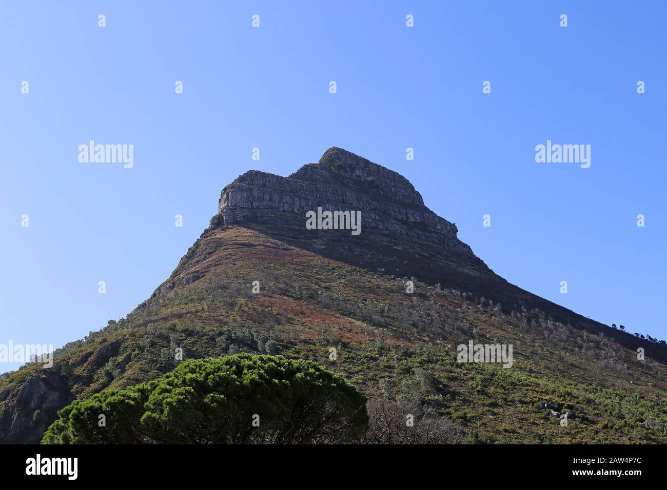 Lion's Head, Table Mountain National Park, Cape Town, Table Bay, Western Cape Province, South Africa, Africa Stock Photo