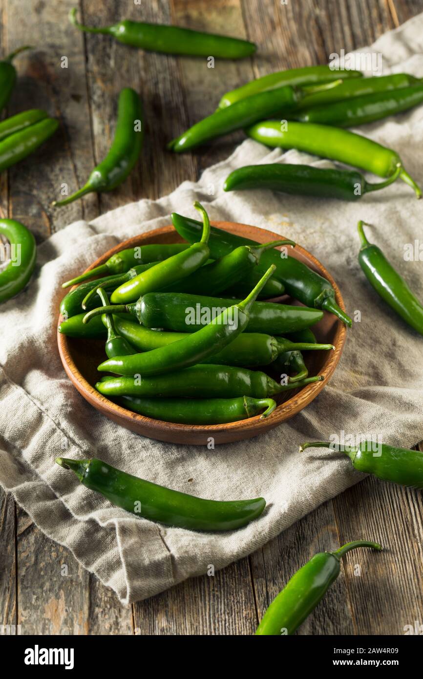Raw Green Organic Serrano Peppers in  a Bowl Stock Photo