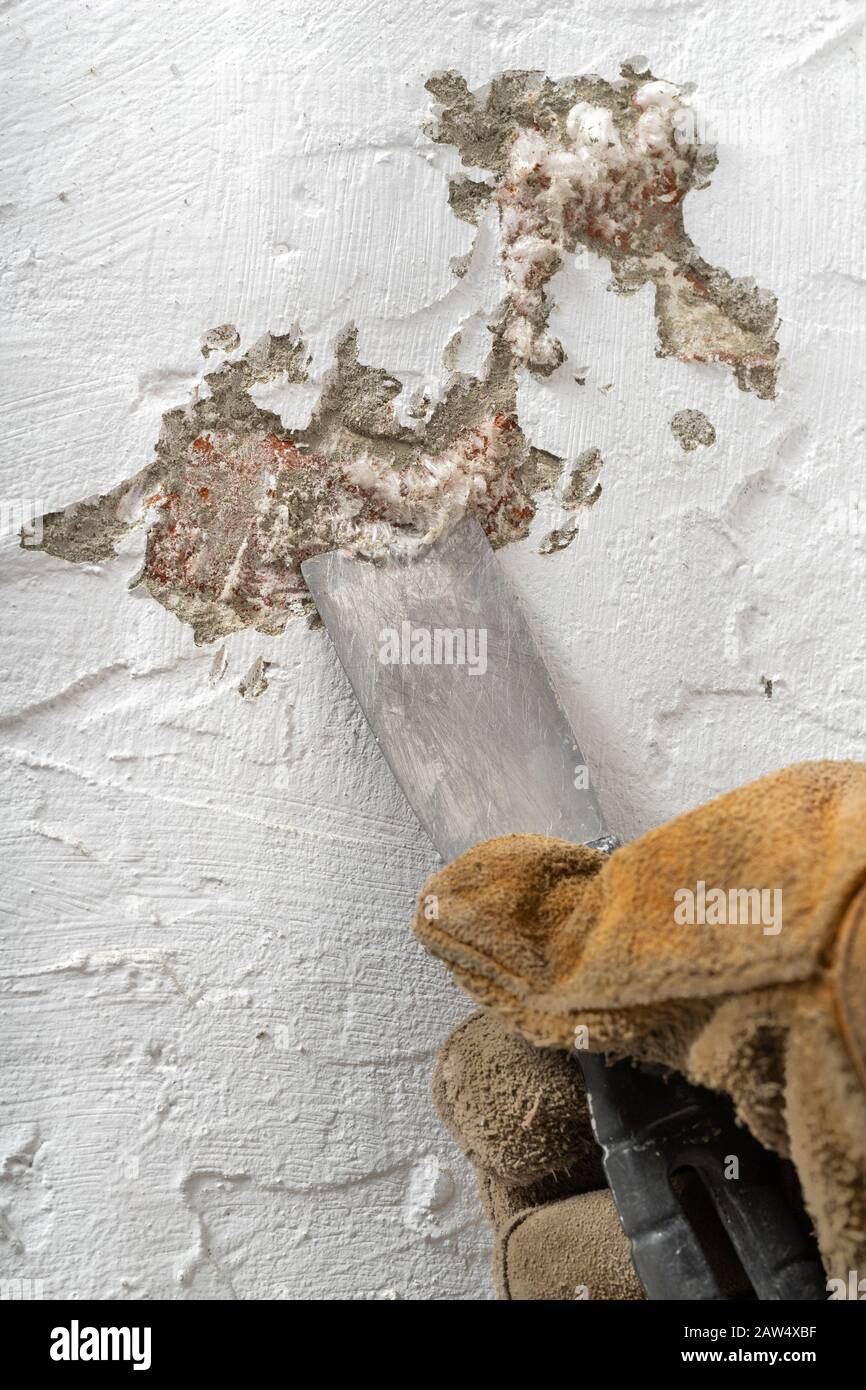 Removing mildew on a freshly painted apartment wall. The wall surface