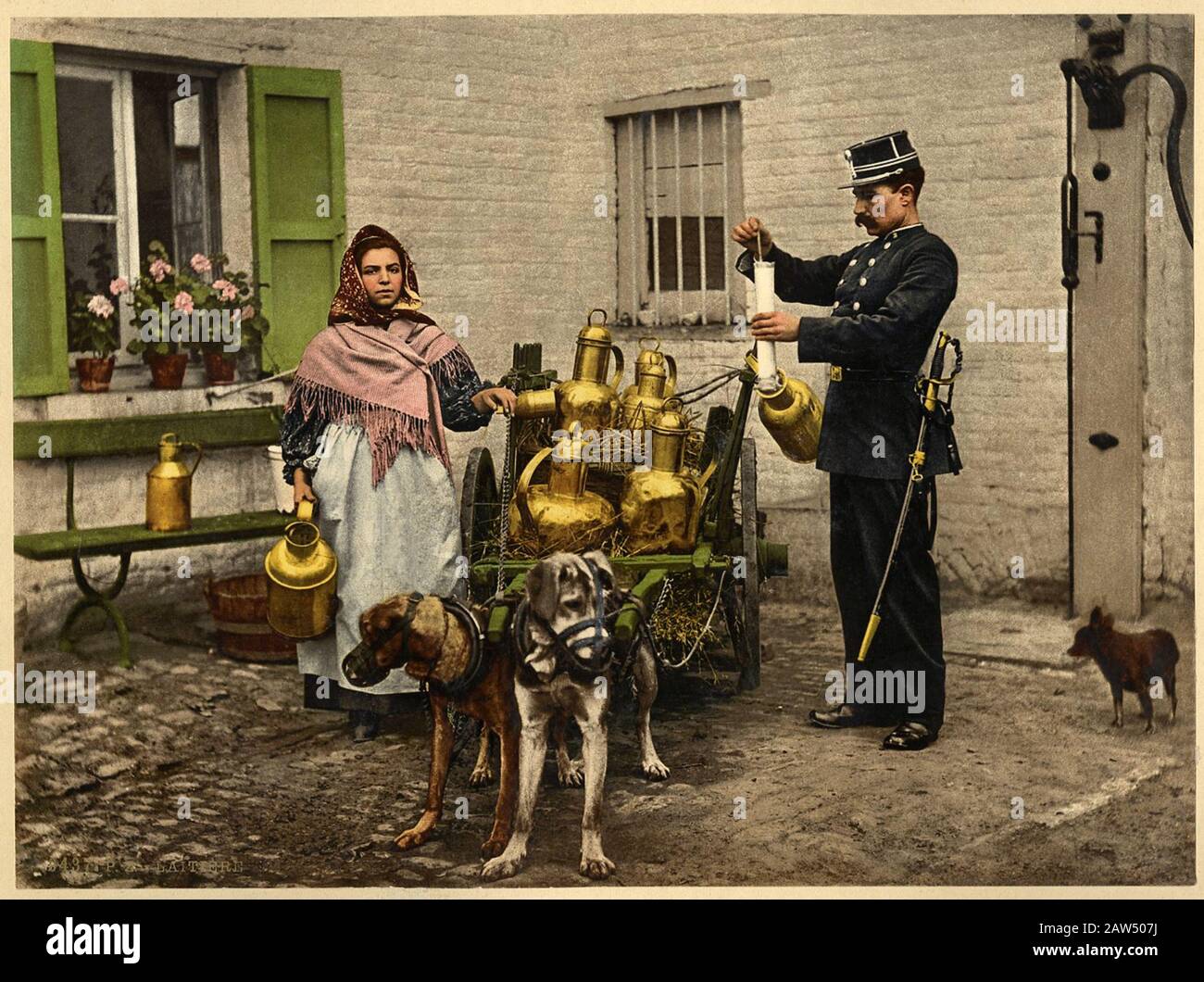 1895 ca , BRUXELLES , BELGIUM : The cart of milk , trained by dogs  . Photocrome .  - BELGIO - Laitière bruxelloise  - BRUXELLS - FOTO STORICHE - HIST Stock Photo