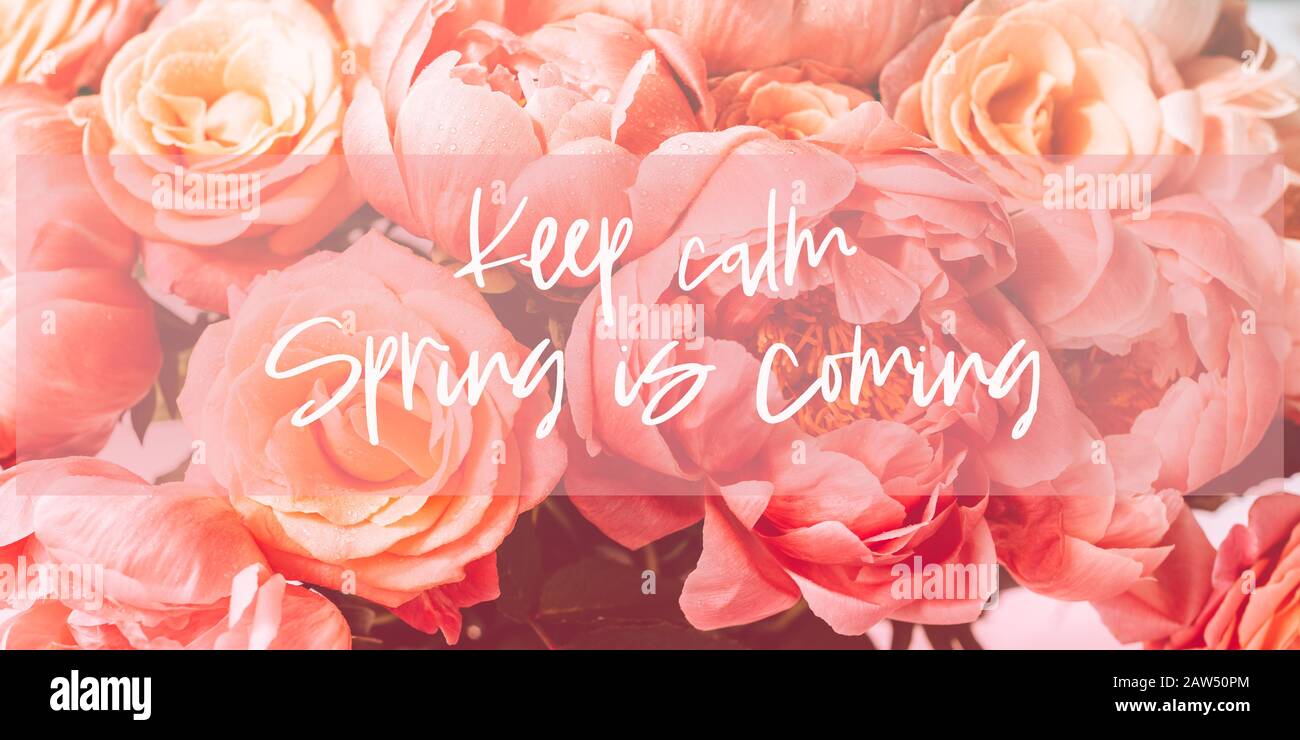 Keep calm, Spring is coming text in the frame. Fresh bunch of pink ...