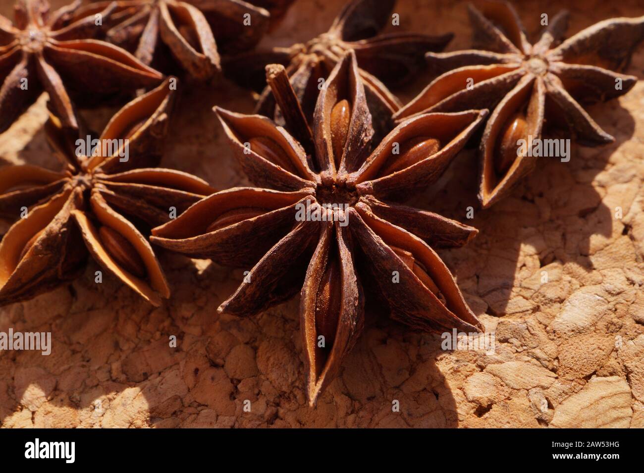 Macro. Popular spice commonly called star anise, staranise, star anise