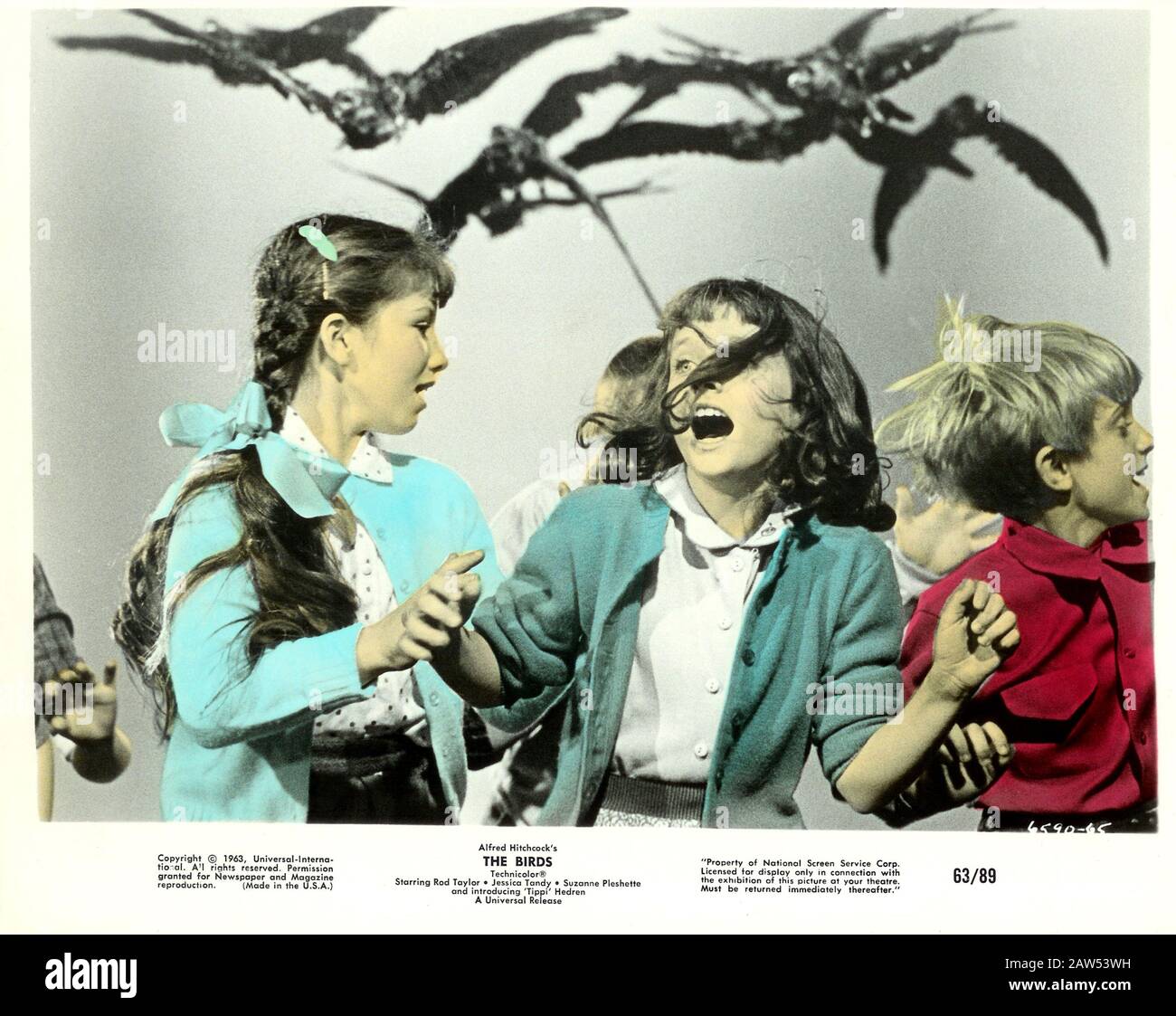 1963 , USA :  ALFRED HITCHCOCK  ( 1899 - 1980 ) movie THE BIRDS ( Gli uccelli - 1963 ) pubblicity still , from a novel by  Daphne Du Maurier ( 1953 ). Stock Photo