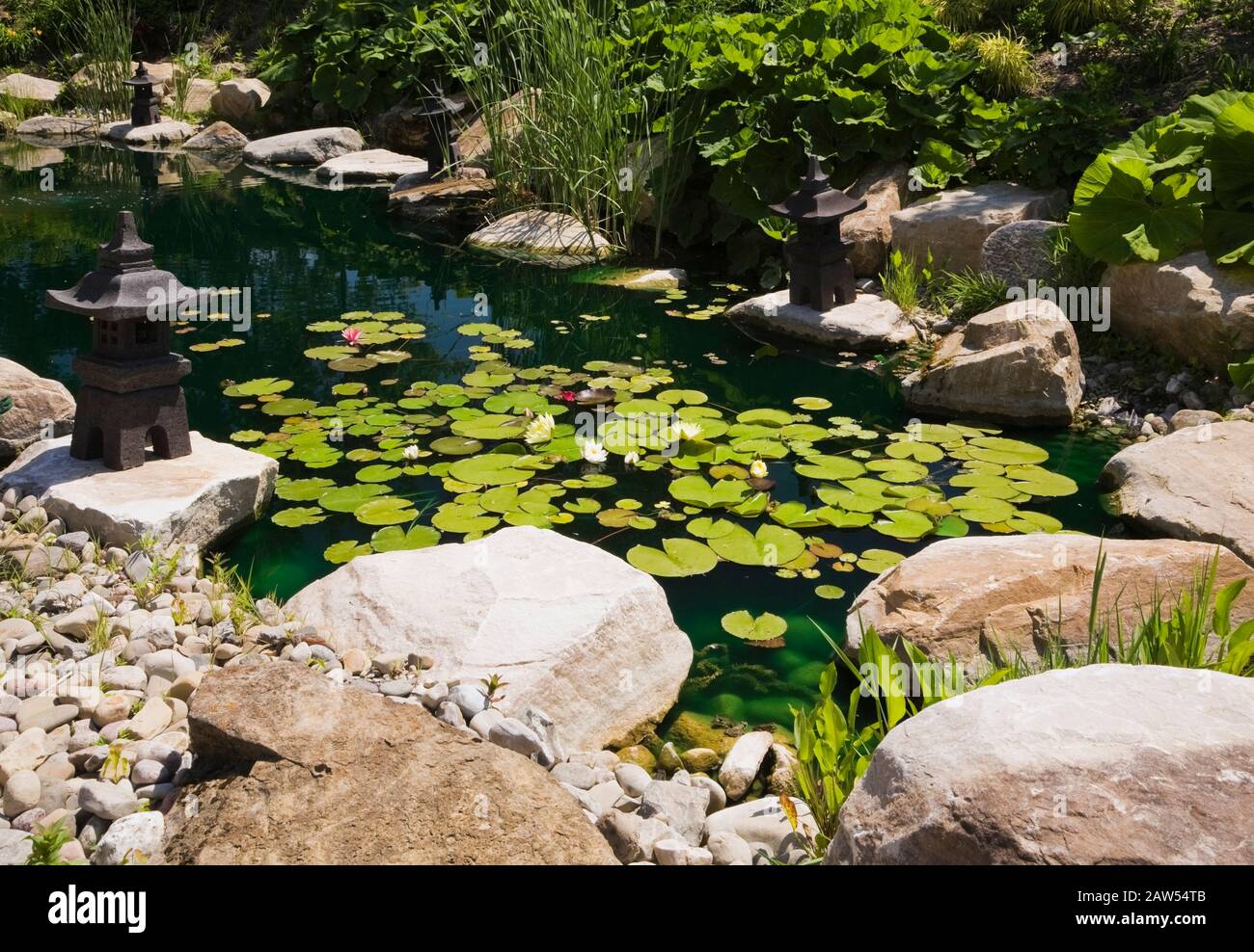 Pond with pink, white red and yellow Nymphaea - Water Lilies, pagodas bordered by Petasites japonicus - Butterbur plants in late spring in Zen garden Stock Photo