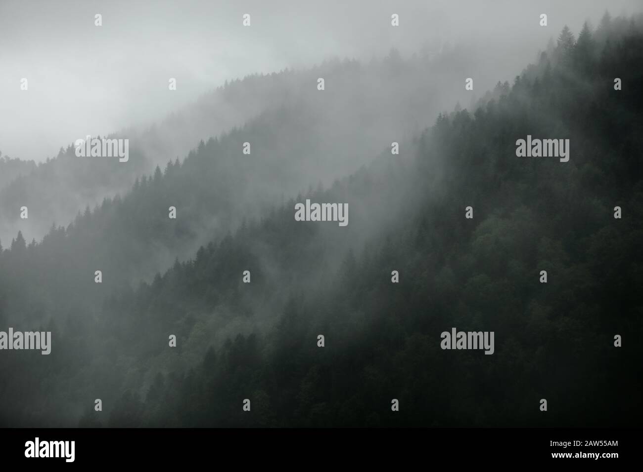 Blick von der Aussichtsplattform Studentenfelsen in Oppenau im Schwarzwald. Der aufsteigende Nebel erschafft eine märchenhafte mystische Atmosphäre. Stock Photo