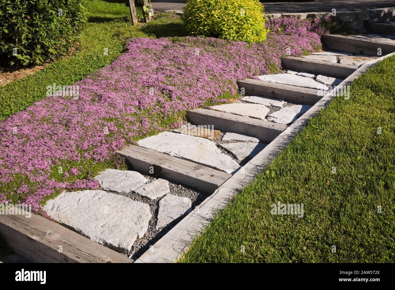 Manicured green grass lawn with flagstone steps and pink matforming